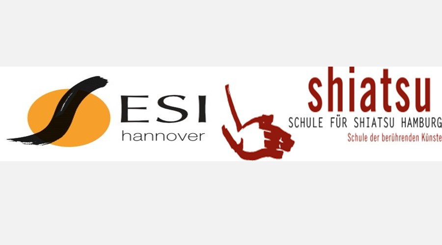Shiatsu Teil 1: Klassische Meridianverläufe